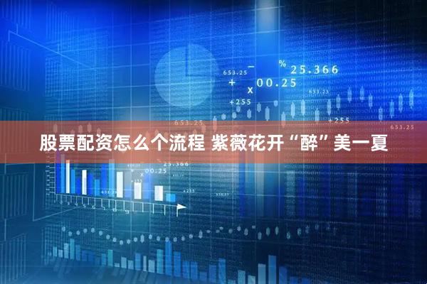 股票配资怎么个流程 紫薇花开“醉”美一夏